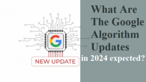 What are the Google algorithm updates in 2024 expected?