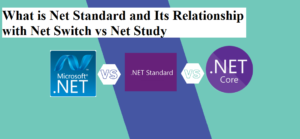 What is Net Standard and Its Relationship with Net Switch vs Net Study