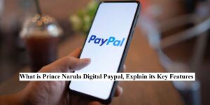 What is Prince Narula Digital Paypal, Explain its Key Features