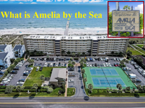 What is Amelia by the Sea